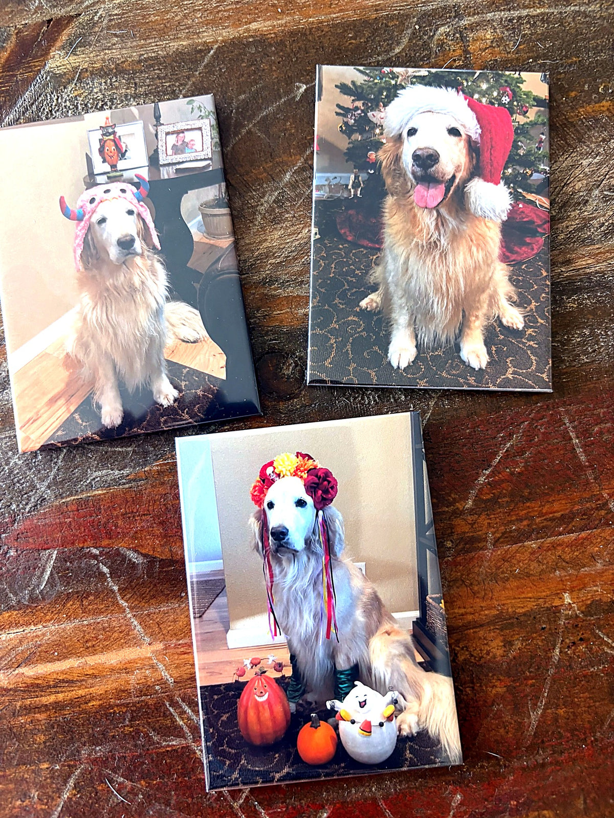 Custom Rectangle Photo Magnets